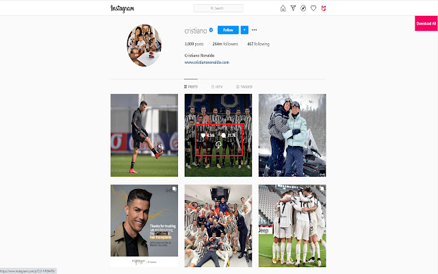 Instagram Downloader chrome谷歌浏览器插件_扩展第2张截图