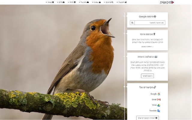 חיפושית chrome谷歌浏览器插件_扩展第1张截图