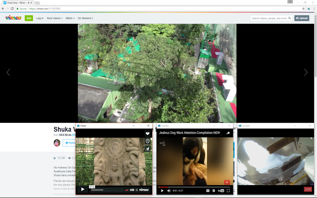 Fluctus chrome谷歌浏览器插件_扩展第3张截图