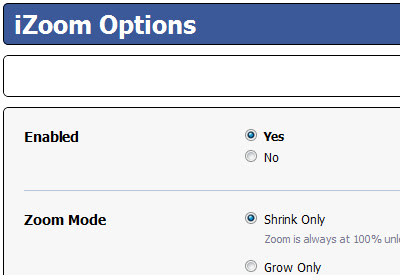 iZoom chrome谷歌浏览器插件_扩展第4张截图