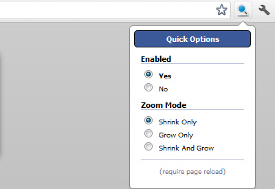 iZoom chrome谷歌浏览器插件_扩展第6张截图