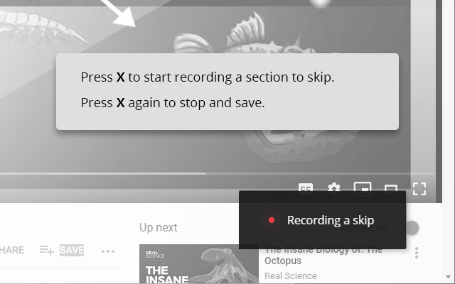 AutoSkipper chrome谷歌浏览器插件_扩展第2张截图