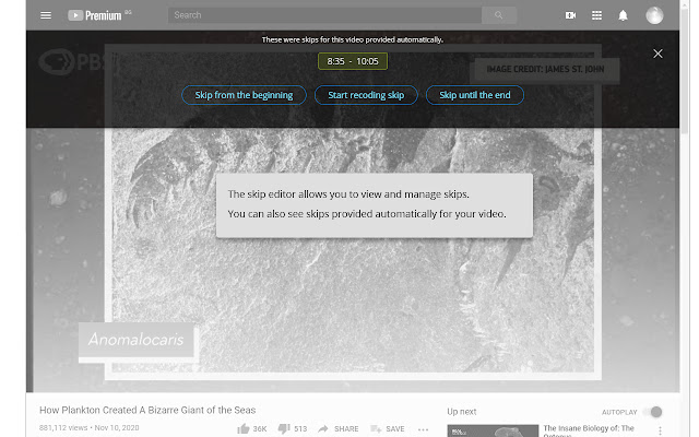 AutoSkipper chrome谷歌浏览器插件_扩展第4张截图