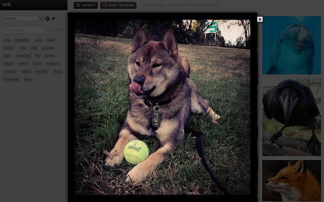 Turtl chrome谷歌浏览器插件_扩展第3张截图