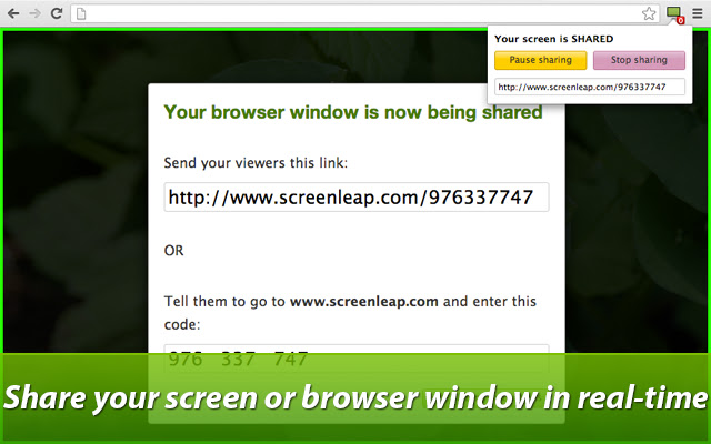 Screenleap chrome谷歌浏览器插件_扩展第1张截图