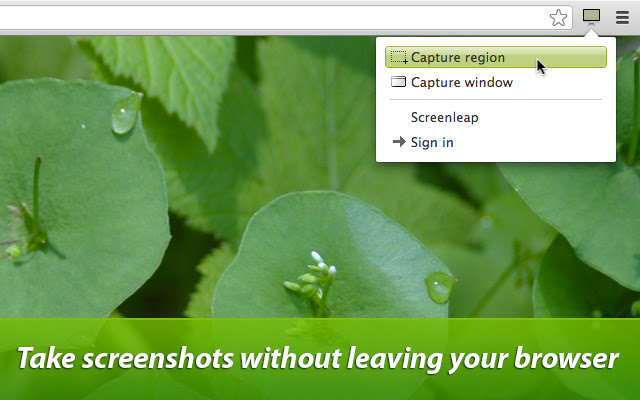 Screenleap chrome谷歌浏览器插件_扩展第4张截图
