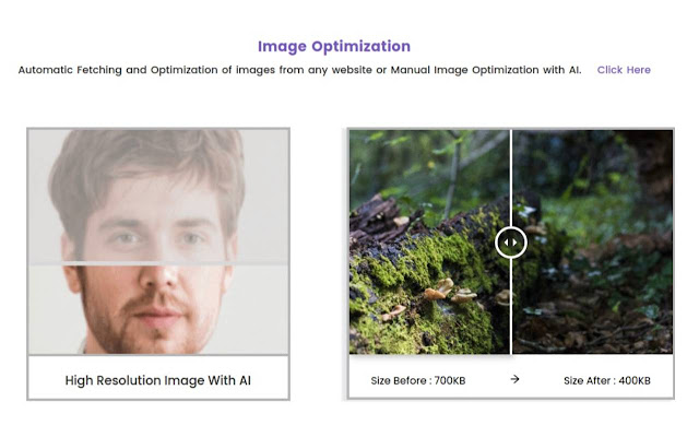 WebAnalyzer chrome谷歌浏览器插件_扩展第2张截图