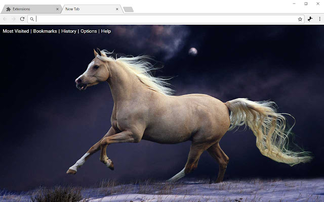 Horses HD Wallpapers Horse New Tab Theme chrome谷歌浏览器插件_扩展第1张截图