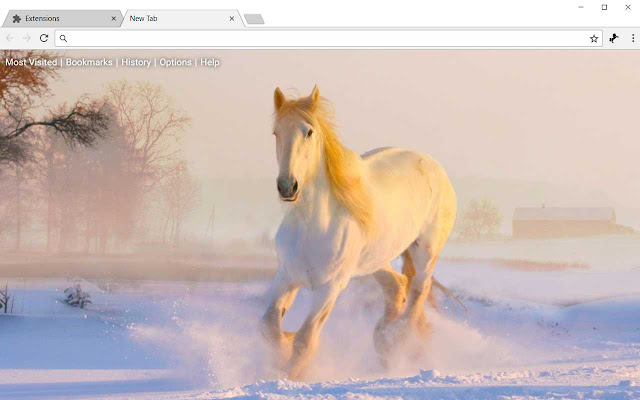 Horses HD Wallpapers Horse New Tab Theme chrome谷歌浏览器插件_扩展第2张截图
