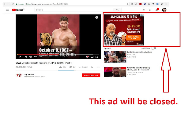 Youtube Auto Ad Block & Auto Ad Skip. chrome谷歌浏览器插件_扩展第2张截图