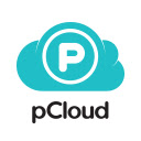 pCloud Save