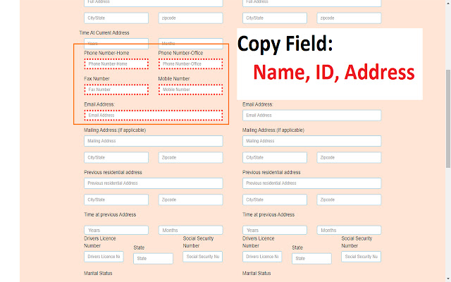 Copy Fields Data - CTH chrome谷歌浏览器插件_扩展第1张截图