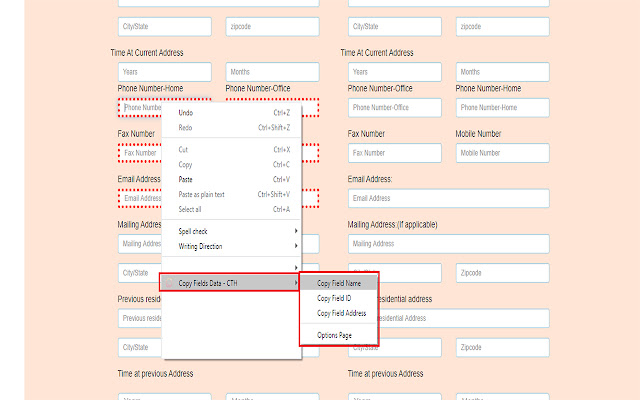 Copy Fields Data - CTH chrome谷歌浏览器插件_扩展第2张截图