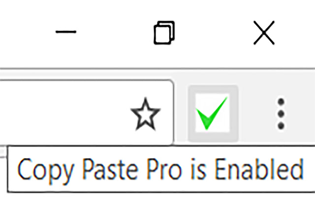 Copy Paste Pro chrome谷歌浏览器插件_扩展第1张截图