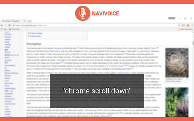 NaviVoice: Voice Input Productivity Assistant chrome谷歌浏览器插件_扩展第1张截图