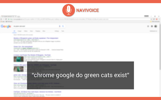 NaviVoice: Voice Input Productivity Assistant chrome谷歌浏览器插件_扩展第2张截图