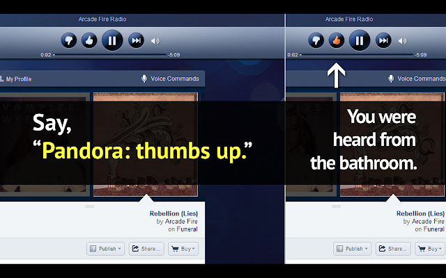 Pandora™ Voice Recognition chrome谷歌浏览器插件_扩展第1张截图