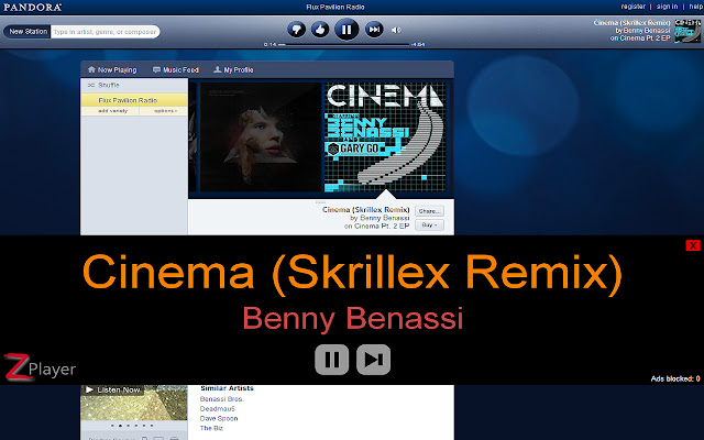 ZPlayer chrome谷歌浏览器插件_扩展第1张截图