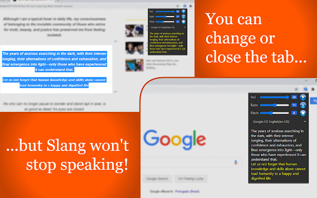 Slang - Text to Speech chrome谷歌浏览器插件_扩展第4张截图
