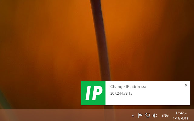 Get IP Address chrome谷歌浏览器插件_扩展第2张截图