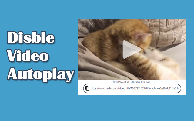 Tumblr Disable Video Autoplay chrome谷歌浏览器插件_扩展第1张截图