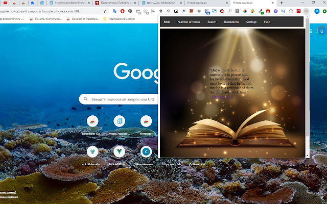 my-bible chrome谷歌浏览器插件_扩展第1张截图