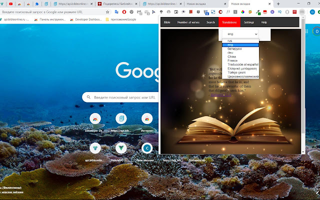 my-bible chrome谷歌浏览器插件_扩展第3张截图