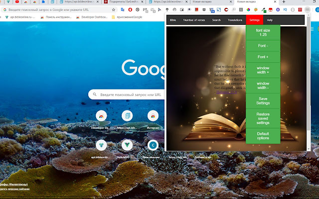 my-bible chrome谷歌浏览器插件_扩展第4张截图