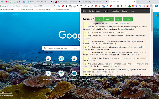 my-bible chrome谷歌浏览器插件_扩展第5张截图