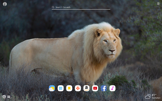 White Lion HD Wallpapers New Tab Theme chrome谷歌浏览器插件_扩展第3张截图