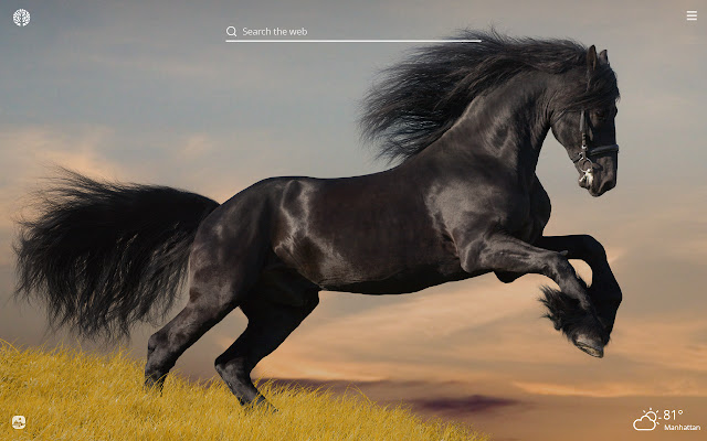Black Horses HD Wallpapers New Tab Theme chrome谷歌浏览器插件_扩展第1张截图