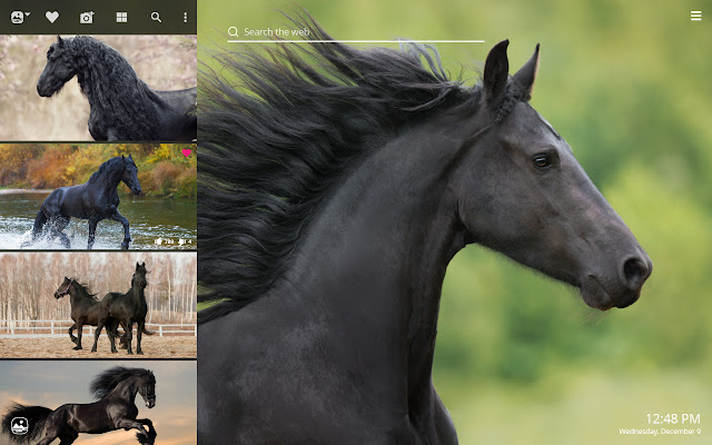 Black Horses HD Wallpapers New Tab Theme chrome谷歌浏览器插件_扩展第2张截图