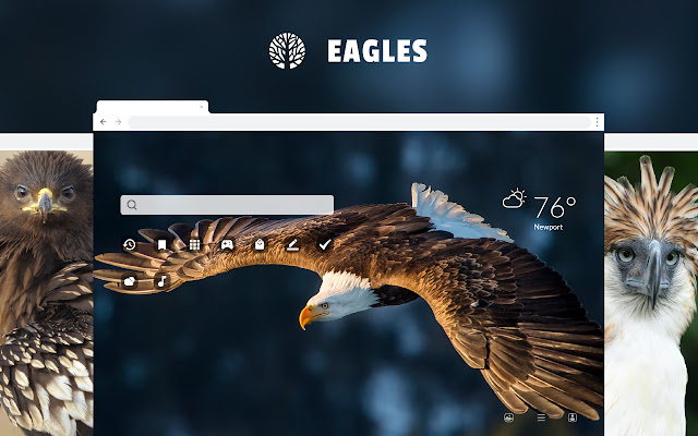 Eagles HD Wallpaper New Tab Theme chrome谷歌浏览器插件_扩展第1张截图