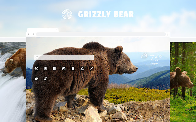 Grizzly Bears HD Wallpapers New Tab Theme chrome谷歌浏览器插件_扩展第1张截图