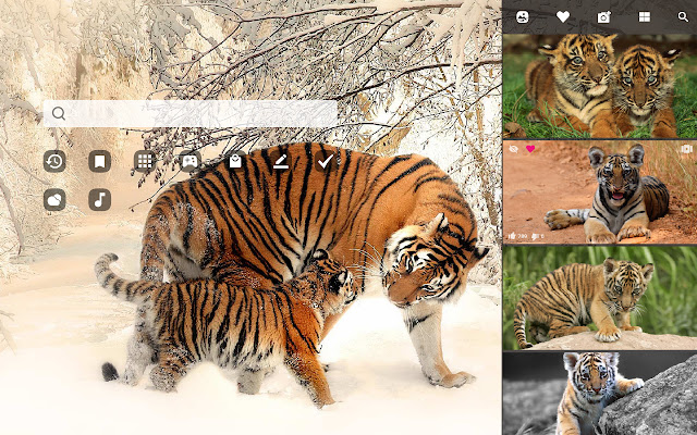 Baby Tigers Big Cat & Cub  HD Wallpapers chrome谷歌浏览器插件_扩展第2张截图