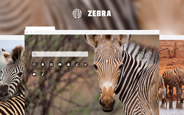 Zebra HD Wallpaper New Tab Theme chrome谷歌浏览器插件_扩展第1张截图