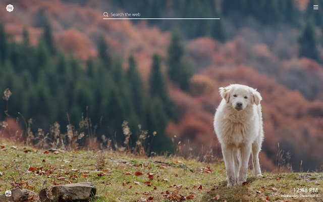 My Sheep Dog - Cute Puppy & Dog Wallpapers chrome谷歌浏览器插件_扩展第4张截图