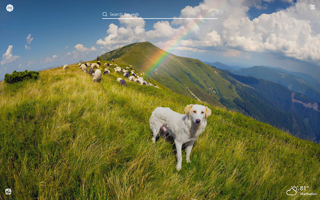My Sheep Dog - Cute Puppy & Dog Wallpapers chrome谷歌浏览器插件_扩展第5张截图