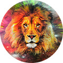 Lion Wallpapers New Tab