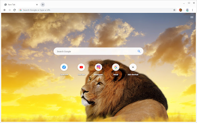 Lion Wallpapers New Tab chrome谷歌浏览器插件_扩展第3张截图