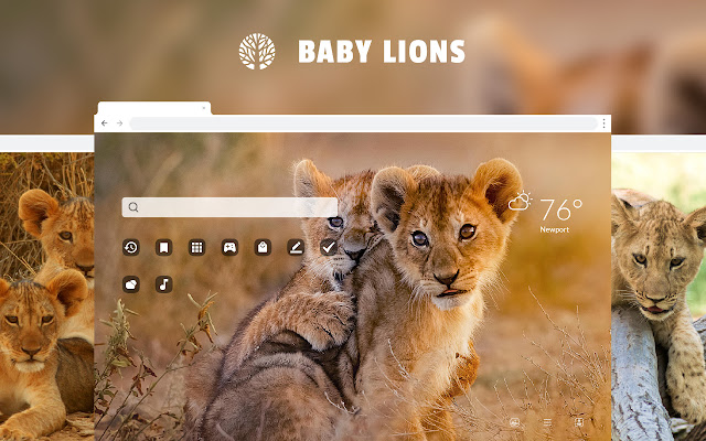 Baby Lions - Cute Wild Cat HD Wallpaper chrome谷歌浏览器插件_扩展第1张截图
