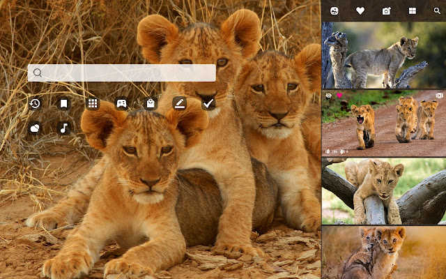 Baby Lions - Cute Wild Cat HD Wallpaper chrome谷歌浏览器插件_扩展第2张截图
