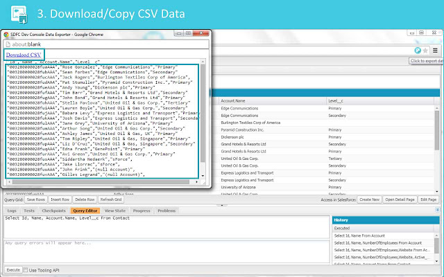 SDFC Dev Console Data Exporter chrome谷歌浏览器插件_扩展第4张截图