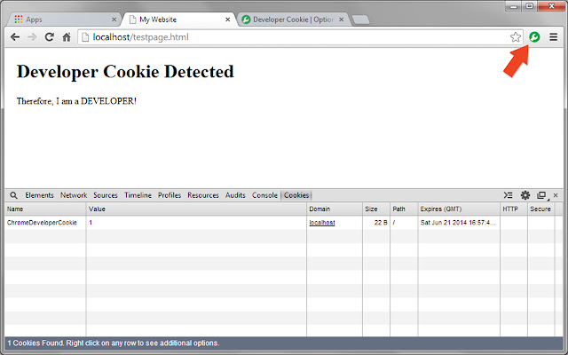 Developer Cookie chrome谷歌浏览器插件_扩展第3张截图