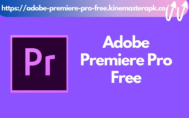 Download Adobe Premiere Pro for Windows 2020 chrome谷歌浏览器插件_扩展第1张截图