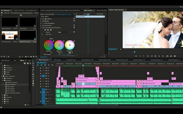 Download Adobe Premiere Pro for Windows 2020 chrome谷歌浏览器插件_扩展第3张截图