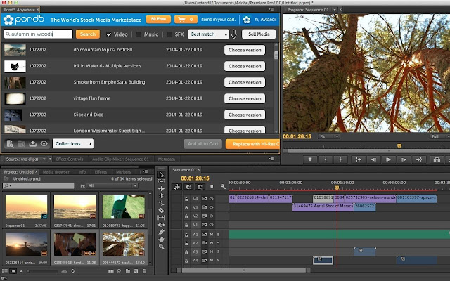 Download Adobe Premiere Pro for Windows 2020 chrome谷歌浏览器插件_扩展第5张截图