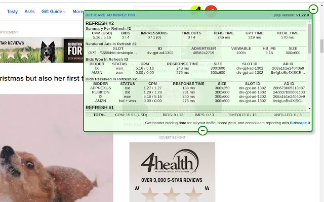 Bidscape.it Header Bidding Ad Inspector chrome谷歌浏览器插件_扩展第2张截图
