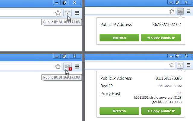 View IP address chrome谷歌浏览器插件_扩展第1张截图