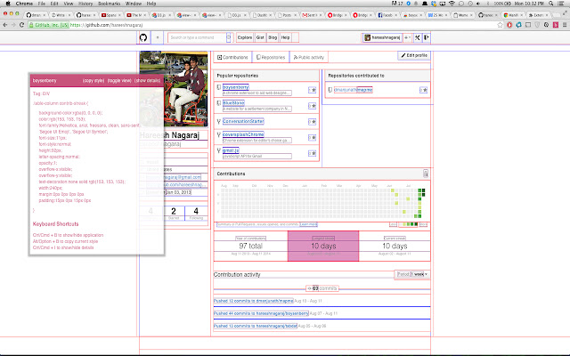 boysenberry chrome谷歌浏览器插件_扩展第1张截图